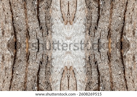 Abstract bark structure - tileable grey box eucalyptus bark