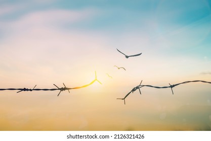 Abstract Barrier wire fence refugee Twilight sky. Deliverance Broke spike change bird boundary human rights slave prison jail break hope freedom justice social liberty day world war emancipation win. - Shutterstock ID 2126321426