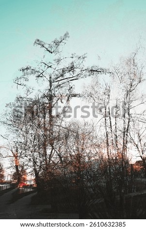 abstract, beautiful background, texture, composite photo, fantasy, dream, illusion, illusory, unthinkable, landscape, fabulous, art