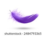 Abstract Beautiful Purple Feather Falling in The Air. Freedom, Symbol of Peace. Feather on White Background.	
