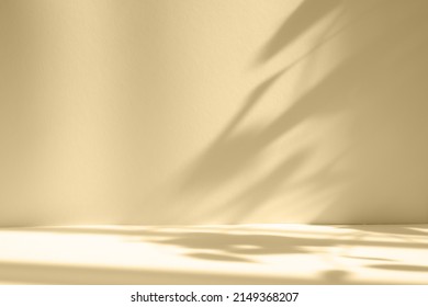 Abstract beige studio background for product presentation. Empty room with shadows of window and flowers and palm leaves . 3d room with copy space. Summer concert. Blurred backdrop. - Shutterstock ID 2149368207