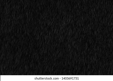 Abstract Black Animal Hair Texture Background. Close Up Detail Of Artificial Horse Fur Skin. Natural Wildlife Concept