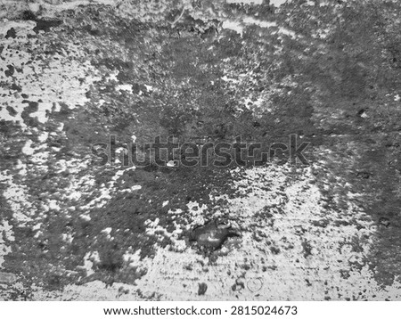 Abstract black scratched surface texture with subtle wear marks and fine random scratches. This high-resolution dark background features a rough, distressed appearance that creates a modern industrial and grunge aesthetic. The textured black surface is ideal for use as a backdrop in graphic design, website backgrounds, product presentations, posters, banners, packaging, advertising, and creative digital artwork. The natural imperfections and weathered details provide depth, character, and an authentic vintage feel while maintaining a minimalist monochrome style. Suitable for overlays, wallpaper, mockups, templates, social media graphics, branding materials, and artistic compositions. This versatile abstract texture can represent aged metal, painted concrete, worn plastic, stone, or industrial materials, making it perfect for both commercial and editorial design projects. The neutral dark tones allow text, logos, and design elements to stand out while adding visual interest without distraction. High-quality abstract background with realistic surface details, scratches, and distressed patterns for professional creative applications.