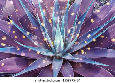 Abstract blue agave with magic vibes and spiritual glowing light. Concept of modern moon gathering and Indian traditional culture