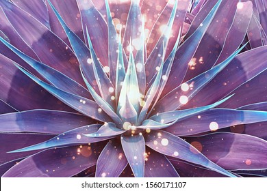Abstract blue agave with magic vibes and spiritual glowing light. Concept of modern moon gathering and Indian traditional culture