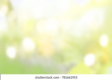 Abstract blue background - blurred forest background - yellow sunlight and dappled light