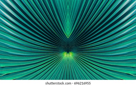 Abstract Blue Stripes From Nature, Tropical Palm Leaf Texture Background, Vintage Tone