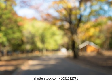 Abstract Blur Autumn Season City Park Bokeh Background