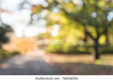 Abstract Blur City Park Autumn Season Bokeh Background