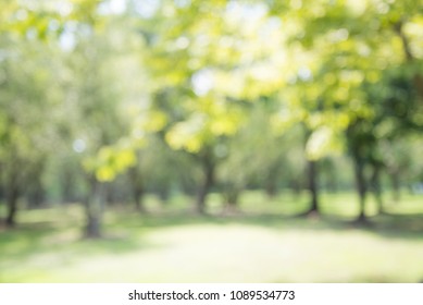 Abstract blur city park bokeh background - Green nature concept - Shutterstock ID 1089534773