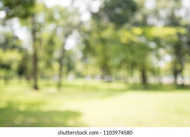 Abstract blur city park bokeh background - Green nature concept - Shutterstock ID 1103974580