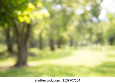 Defocused Bokeh Background Garden Trees Sunny Stock Photo (Edit Now ...