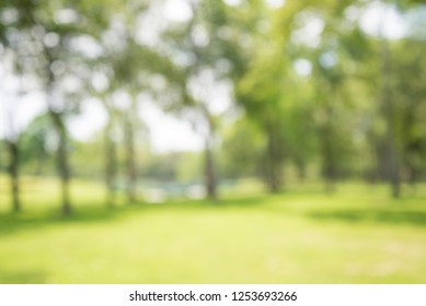 Abstract blur city park bokeh background - Green nature concept - Shutterstock ID 1253693266