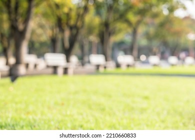 Abstract Blur City Park Bokeh Background