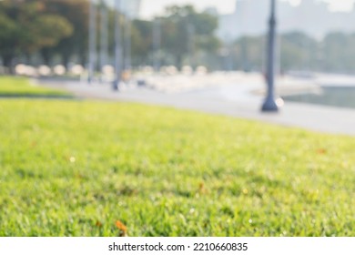 Abstract Blur City Park Bokeh Background