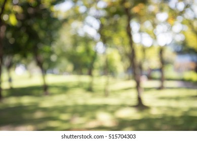 Blur Natural Light Background Park Stock Photo (Edit Now) 687370732