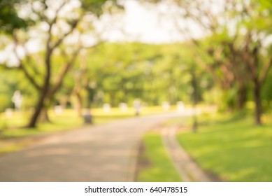 Blur Nature Green Park Bokeh Sun Stock Photo 1699042234 | Shutterstock