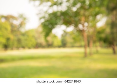 Abstract Blur City Park Bokeh Background