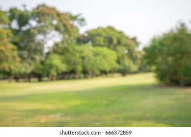 Abstract Blur City Park Bokeh Background