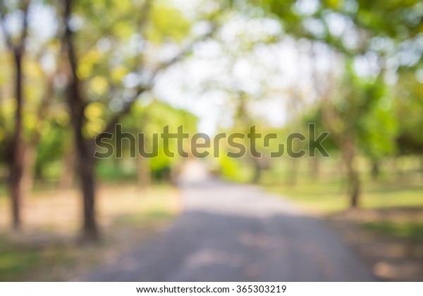 City Park Bokeh Background Backdrops Real Stock Photo 314081732 |  Shutterstock