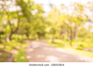 Abstract Blur City Park  With Warm Lighting Background