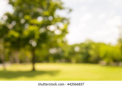 Abstract blur city park with warm lighting background - Shutterstock ID 442066837