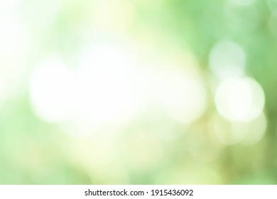 Abstract blur green color for background, blurred and defocused effect spring concept for design background abstract green bubble outdoor focus texture.