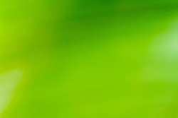 Green color blur blackground style featuring abstract, aged, and ...