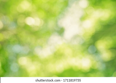 Abstract Blur Green Color For Background,blurred And Defocused Effect Spring Concept For Design,nature View Of Blurred Greenery Background In Garden Using As Background Natural,fresh Wallpaper Concept