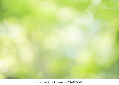abstract blur green color for background,blurred and defocused effect spring concept for design - Shutterstock ID 749692990