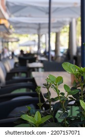 Abstract Blur Image Of Charming Empty Street Restaurant Or Bar In Madrid City Waiting For People. Bokeh Background