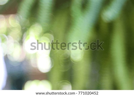 Abstract blur light and natural background.