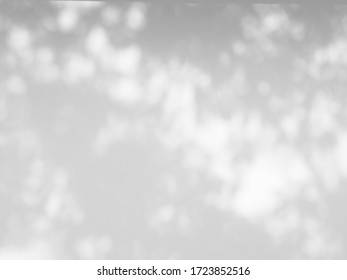abstract blur of shadow tree on white wall background - Shutterstock ID 1723852516