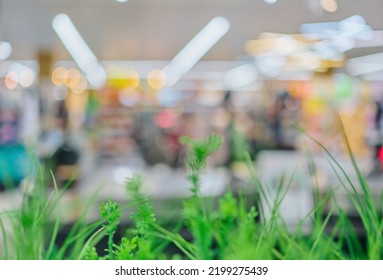 Abstract Blur Shopping Mall In Department Store And Retail Store Interior Idea For Background. Green Plants In The Foreground