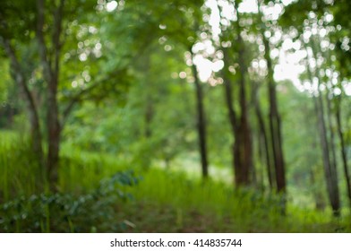 Abstract blur tree in the park.background. - Shutterstock ID 414835744