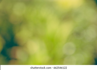 Abstract And Blured Green Background.