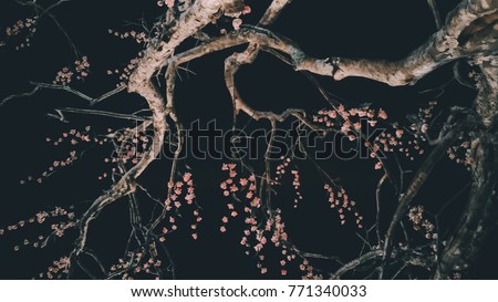 Abstract blurred artificial of pink sakura flower decorate on dry tree in night garden thailand for pattern night background.Vintage tone flim grian style.
