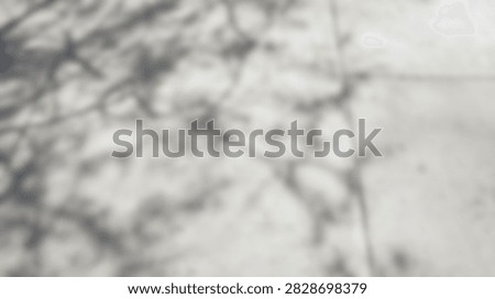 An abstract, blurred background featuring the dappled shadow pattern of tree branches cast upon a light-colored, textured surface.