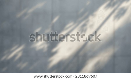 An abstract and blurred background featuring diagonal streaks of light and organic, natural shapes, creating a soft and ethereal mood.