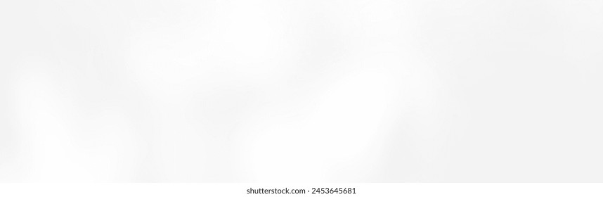 Abstract blurred background. The shadow reflection of leaves and gray light lines. on the white surface concrete wall. for wallpaper, backdrop and design.