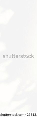 Abstract blurred background. The shadow reflection of leaves and gray light lines. on the white surface concrete wall. for wallpaper, backdrop and design.