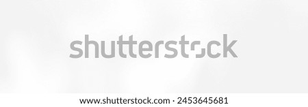Abstract blurred background. The shadow reflection of leaves and gray light lines. on the white surface concrete wall. for wallpaper, backdrop and design.
