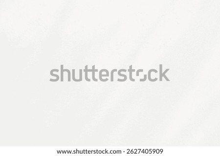 Abstract blurred background. The shadow reflection of leaves and gray light lines. on the white surface concrete wall. for wallpaper, backdrop and design.