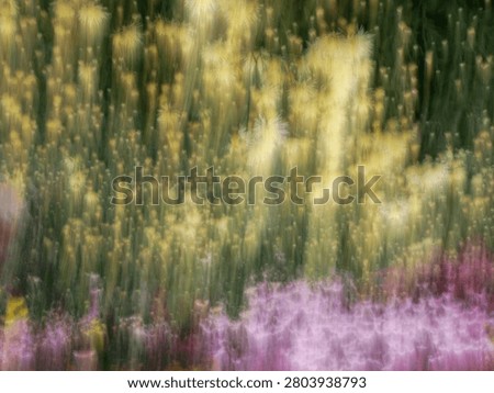 Abstract blurred background in the style of an impressionistic photograph