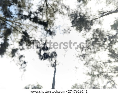 Abstract blurred forest background with tree branches and bright sunlight through foliage. Natural bokeh effect creating soft organic texture for design backdrop and nature themed visuals.
