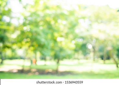 Abstract Blurred Green Park With Sun Light Beam, Nature Scene