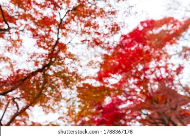 Kyoto Wallpaper Images Stock Photos Vectors Shutterstock