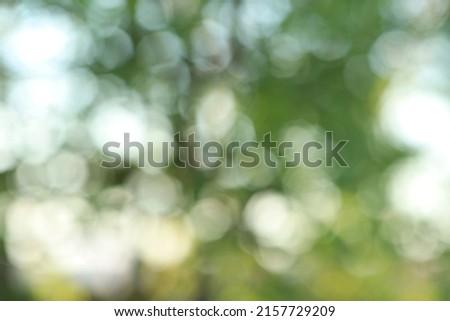 Abstract blurred natural blue and green background with bokeh for design