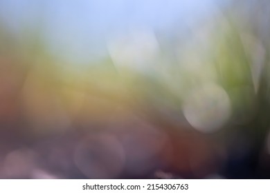 Abstract blurred nature background defocused plants and sky. - Shutterstock ID 2154306763