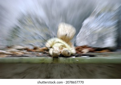 An Abstract, Blurred Teddy Bear In A Crypt. The Last Gift From Grieving Parents To Her Child.         